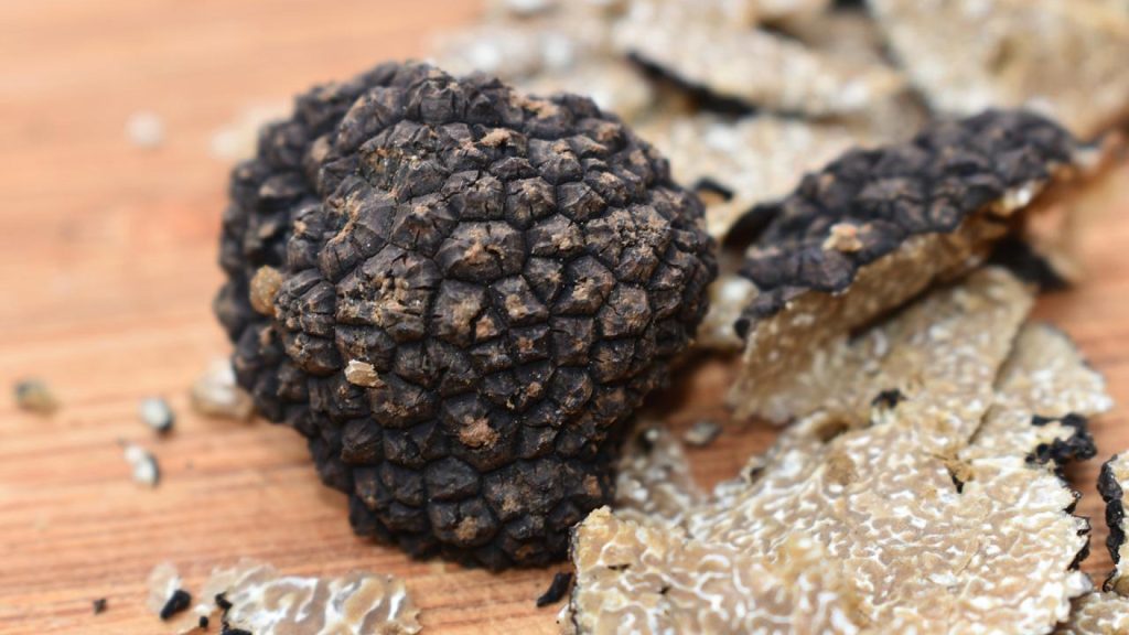 La truffe, un ingrédient incontournable pour réussir vos plats !